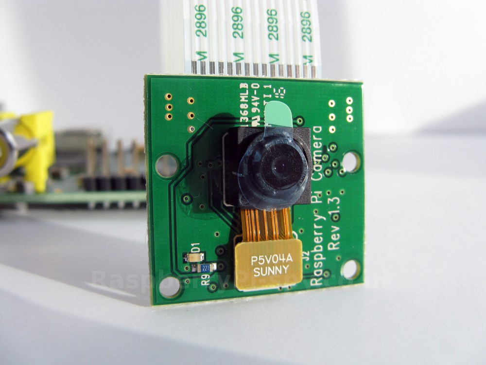 The Pi camera module