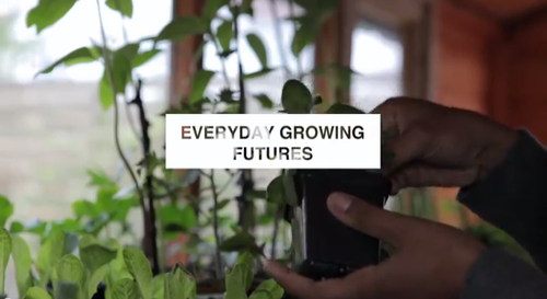 Everyday Growing Futures